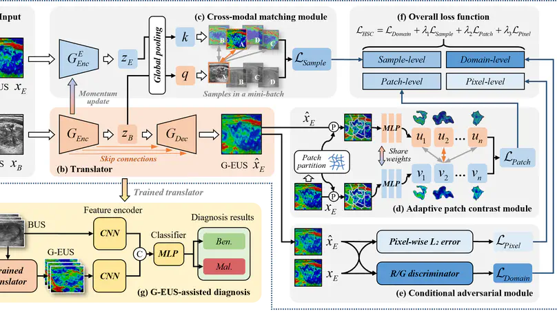 HSC-T: B-ultrasound-to-elastography Translation via Hierarchical Structural Consistency Learning for Thyroid Cancer Diagnosis