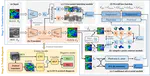 HSC-T: B-ultrasound-to-elastography Translation via Hierarchical Structural Consistency Learning for Thyroid Cancer Diagnosis