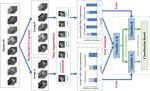 Precise Dental Staging Method through Panoramic Radiographs Based on Deep Learning