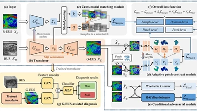 HSC-T: B-ultrasound-to-elastography translation via hierarchical structural consistency learning for thyroid cancer diagnosis featured image
